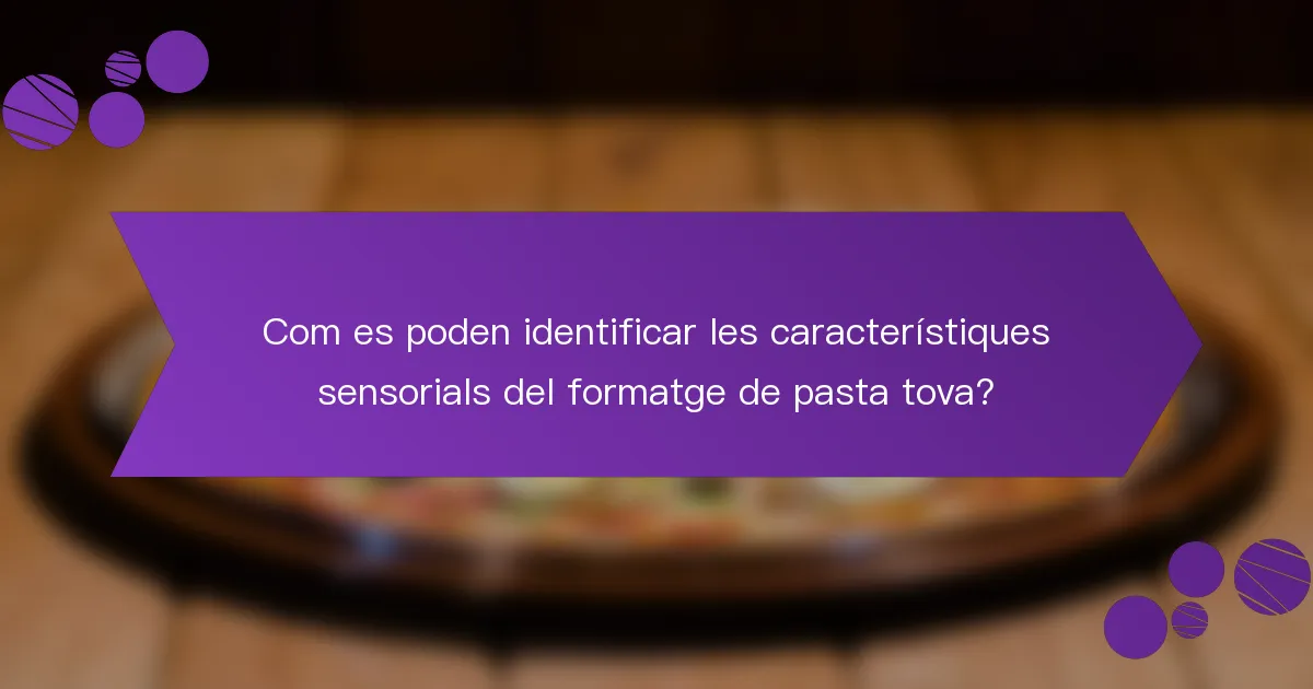 Com es poden identificar les característiques sensorials del formatge de pasta tova?